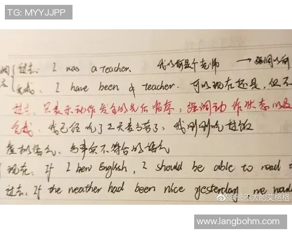 足球明星的音乐之路与经典歌曲的英文翻译探讨