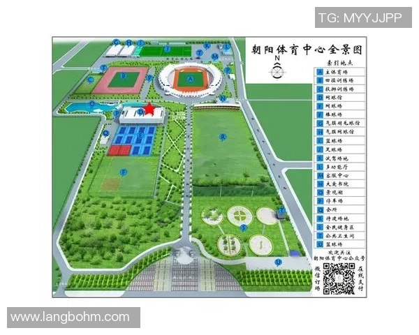 北京羽毛球队转型之路:从传统强队到现代化竞技新标杆解析