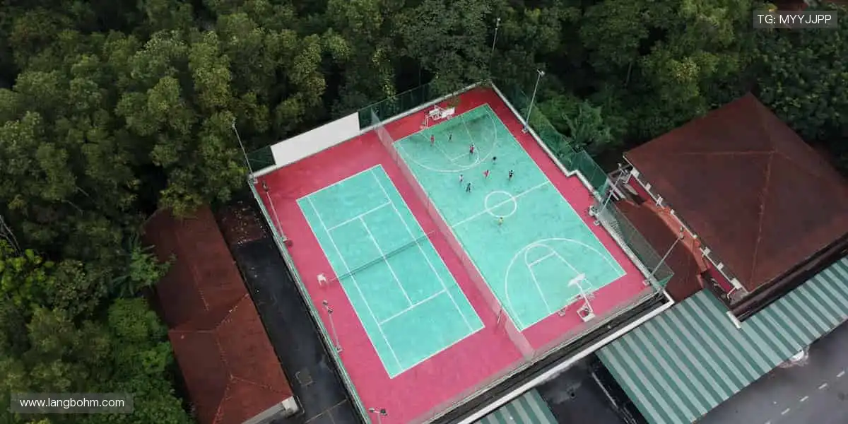 锁定赛事，解锁精彩，你的主场永不落幕！🎉